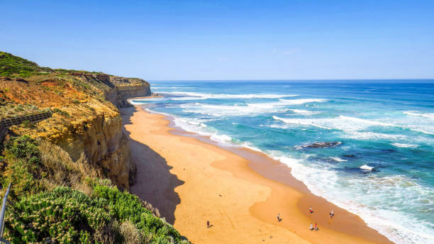 Painters of Geelong working in Torquay